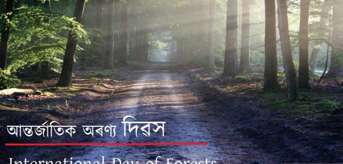 21st March International-Day-of-Forests | Xondhan